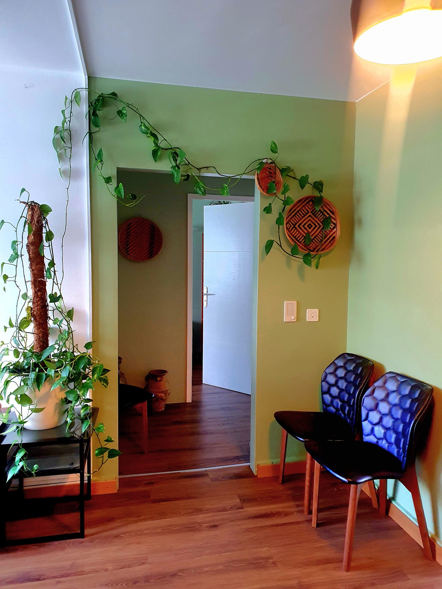 LanaTerra